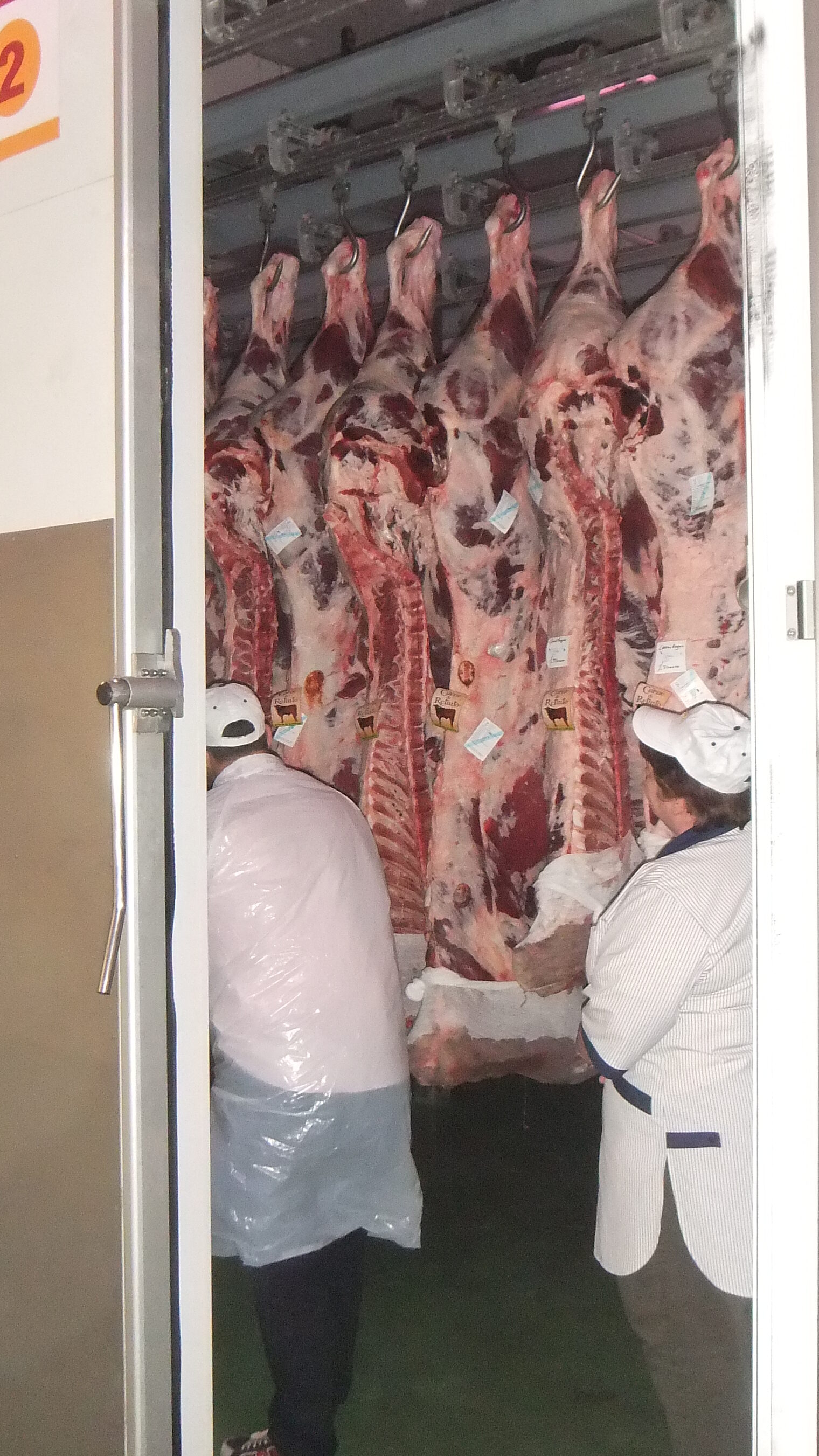 Vom 4. bis zum 7. November 2014 nahmen fünf Fleischerbetriebe und ein Schlachtbetrieb aus dem Kammerbezirk Potsdam am transnationalen Erfahrungsaustausch in Andalusien/Spanien teil.