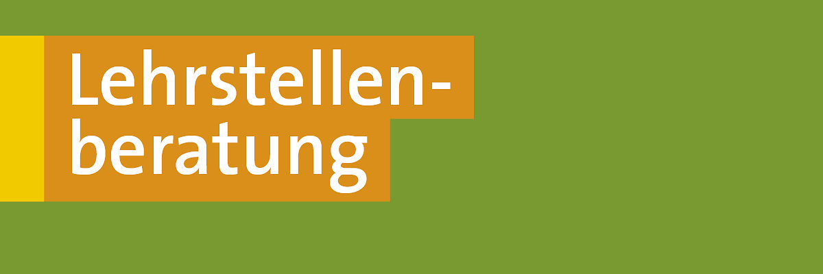 Lehrstellenberatung