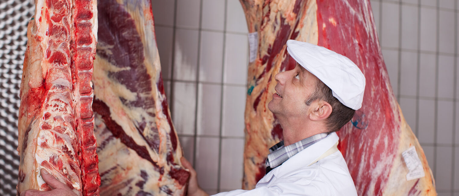 schlachtung, schlachthaus, metzger, fleisch, rindfleisch, rinderhälften, rind, schlachten, metzgerei, zerlegen, zerlegebetrieb, haken, hängen, person, mensch, mann, qualität, qualitätssicherung, fleischbeschau, kontrolleur, führungsschiene, kühlhaus, kühlen, roh, tier, tierisch, ernährung, lebensmittel, nahrungsmittel, essen, anatomie, stempel, rückverfolgbarkeit, ernährungsindustrie, lebensmittelverarbeitung, verarbeitung, handwerk, handwerklich, hygiene, hygienisch, lebensmittelkontrolle, kontrolle, fleischskandal, landwirtschaft, tierhaltung, rinderzucht, rinderhaltung, fleischqualität, frisch, frische, schlachtung, schlachthaus, metzger, fleisch, rindfleisch, rinderhälften, rind, schlachten, metzgerei, zerlegen, zerlegebetrieb, haken, hängen, person, mensch, mann, qualität, qualitätssicherung, fleischbeschau, kontrolleur, führungsschiene, kühlhaus, kühlen, roh, tier, tierisch, ernährung, lebensmittel, nahrungsmittel, essen, anatomie, stempel, rückverfolgbarkeit, ernährungsindustrie, lebensmittelverarbeitung, verarbeitung, handwerk, handwerklich, hygiene, hygienisch, lebensmittelkontrolle, kontrolle, fleischskandal, landwirtschaft, tierhaltung, rinderzucht, rinderhaltung, fleischqualität, frisch, frische