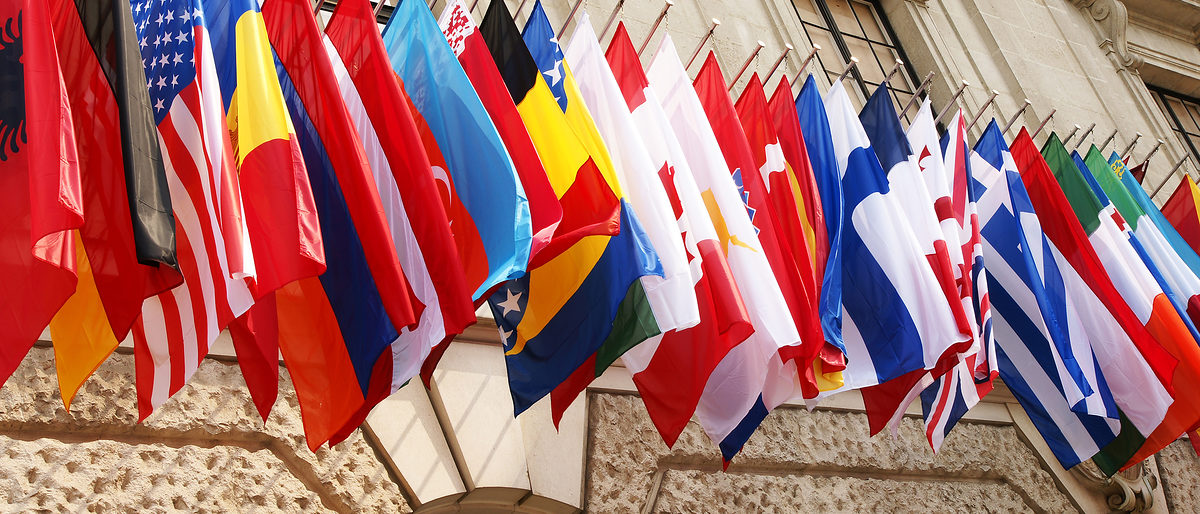 fahne, fahnen, flagge, flaggen, viele, bunt, symbol, zeichen, landesflaggen, landesfahnen, banner, nationalflaggen, hngeflagge, hngeflaggen, oecd, tagung, organisation fr wirtschaftliche zusammenarbeit und entwicklung, organisation, international, belgien, dnemark, deutschland, frankreich, griechenland, irland, island, italien, kanada, luxemburg, niederlande, norwegen, sterreich, portugal, schweden, spanien, schweiz, trkei, vereinigte staaten, vereinigtes knigreich, haus, gebude, japan, finnland, australien, slowakei, polen, ungarn, hngend