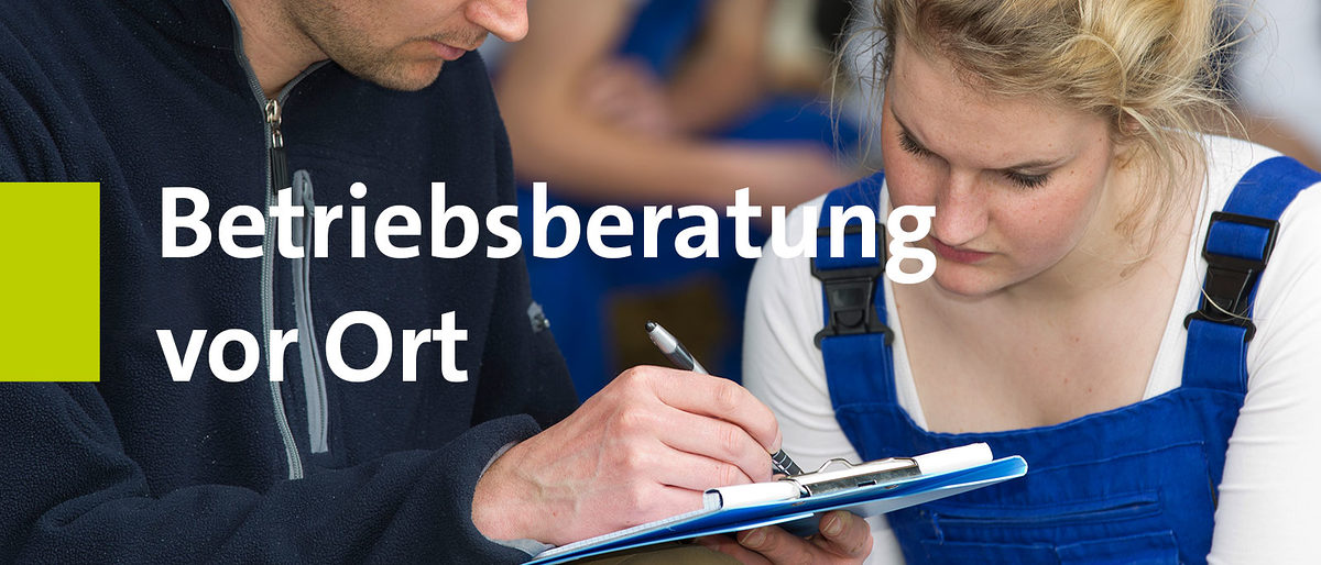 Betriebsberatung-vor-Ort