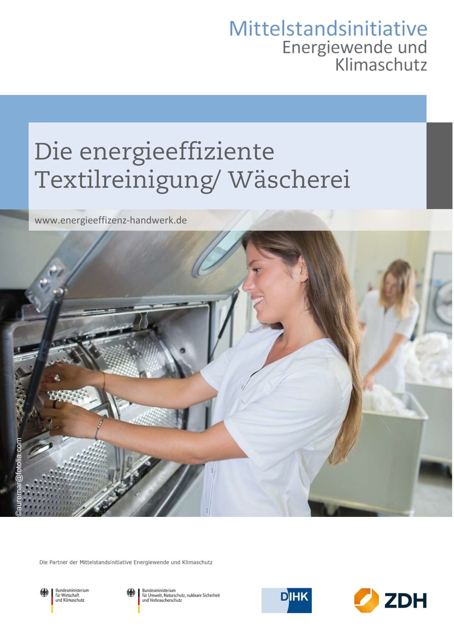 Cover - Energieeffiziente Textilreinigung