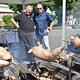 Gartenfest 2024 10