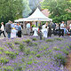 Gartenfest 2024 58